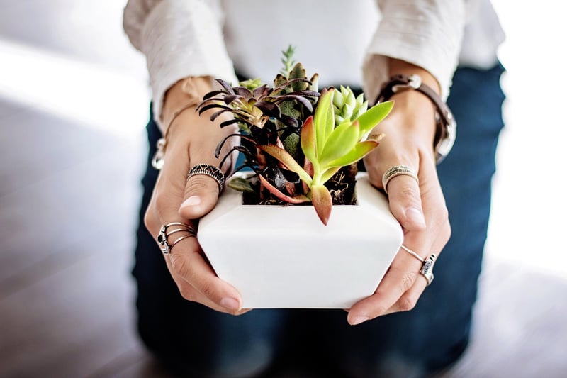 Wall-mounted Pots